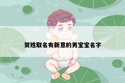 贺姓取名有新意的男宝宝名字